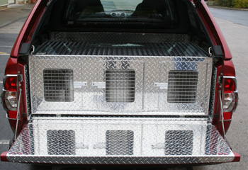 Triple Terrier Dog Box