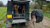 Gullwing Samson Aluminium Canopy Land Rover 90/110 