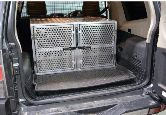 Discovery Double Dog Box 