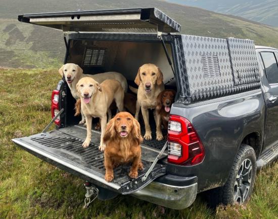 Dan's Toyota Hilux Samson Truework Canopy